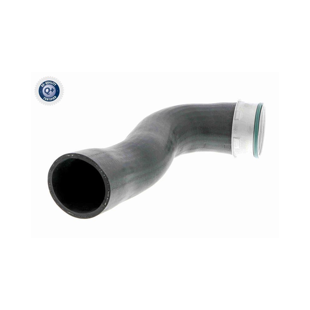 Ladeluftschlauch VAICO V10-3769 Q+, Erstausr&uuml;sterqualit&auml;t f&uuml;r AUDI SEAT SKODA VW
