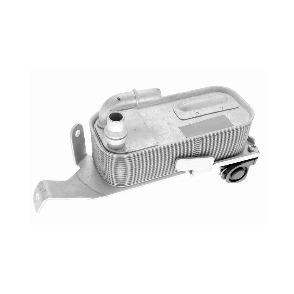 &Ouml;lk&uuml;hler, Motor&ouml;l VEMO V20-60-0053 Original VEMO Qualit&auml;t f&uuml;r BMW