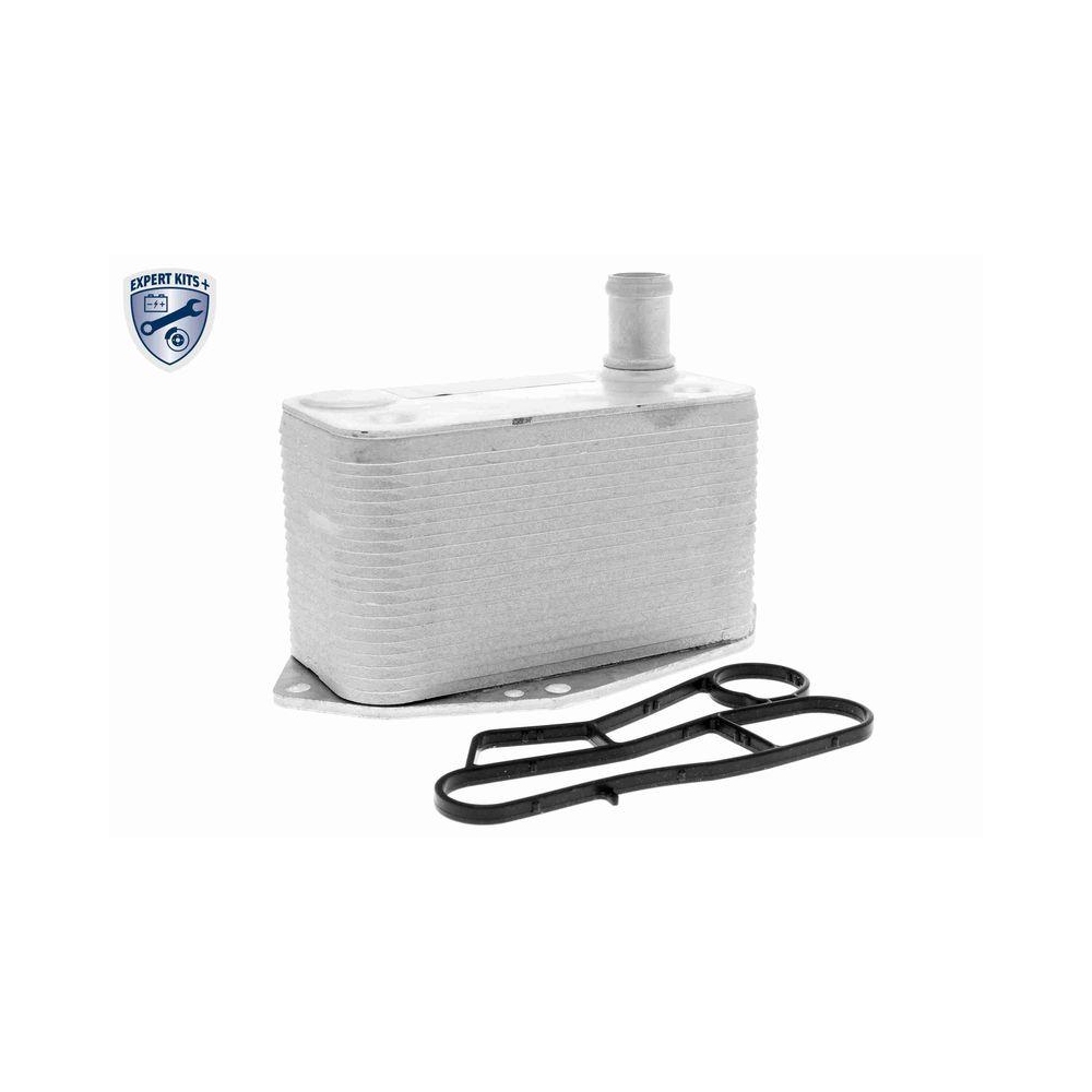 &Ouml;lk&uuml;hler, Motor&ouml;l VEMO V20-60-0057 EXPERT KITS + f&uuml;r BMW