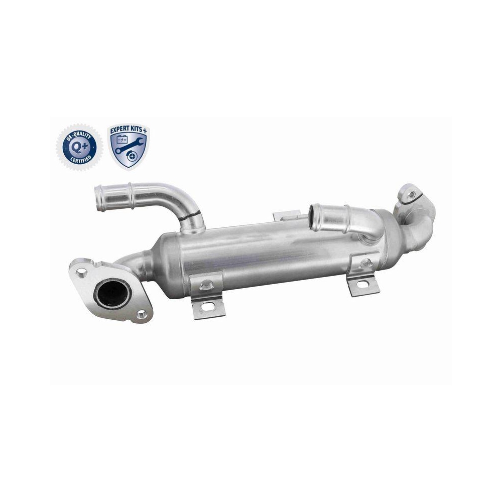 Kühler, Abgasrückführung VEMO V10-63-0197 EXPERT KITS + für VW VAG