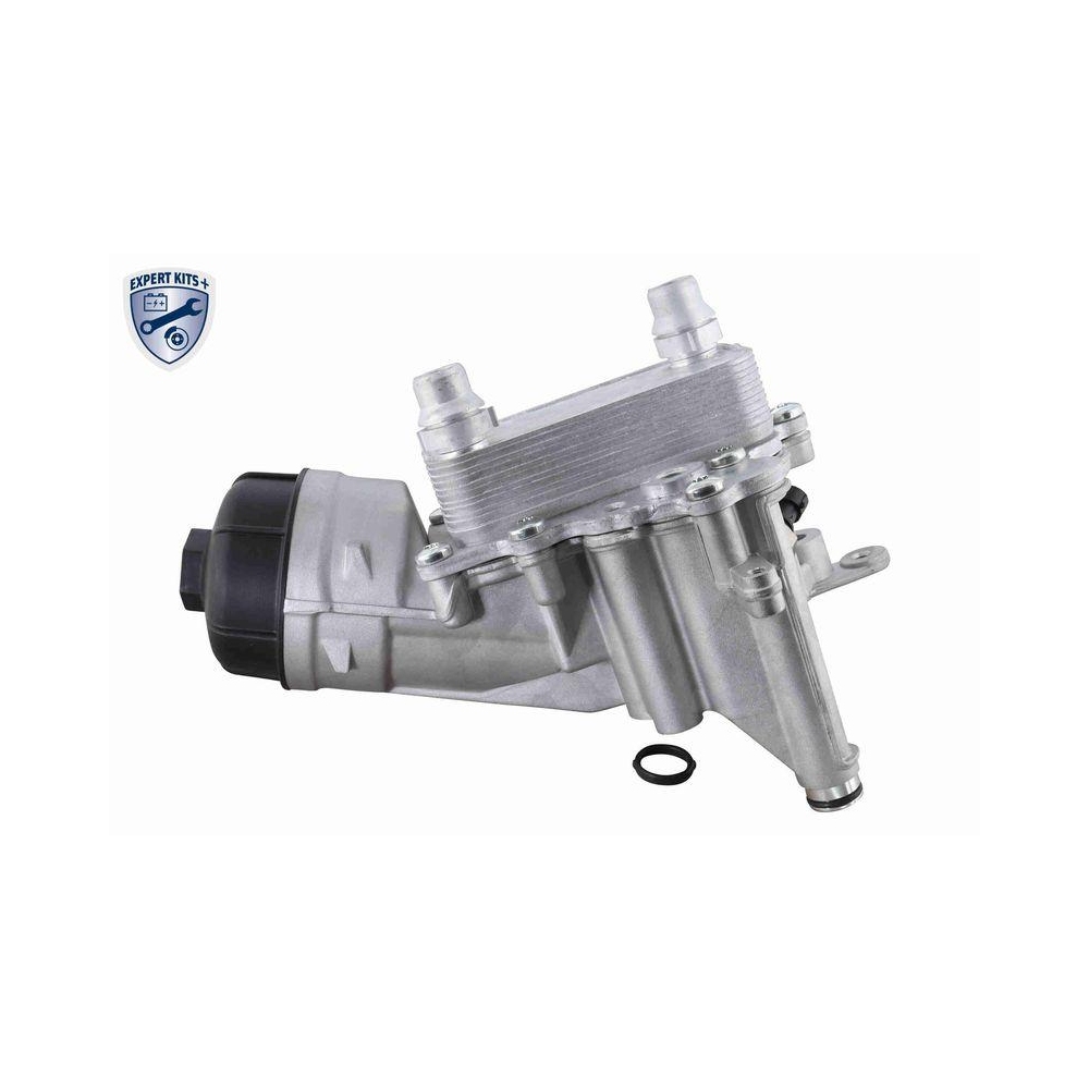 &Ouml;lk&uuml;hler, Motor&ouml;l VEMO V24-60-0019 EXPERT KITS + f&uuml;r FIAT