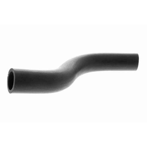 ACKOJA A26-1600 K&uuml;hlerschlauch Original ACKOJA Qualit&auml;t f&uuml;r HONDA, oben