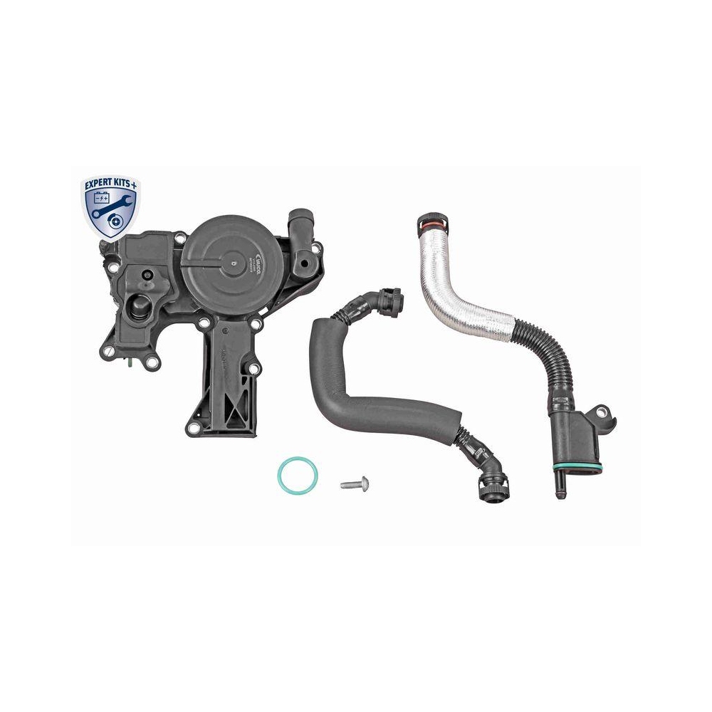 Reparatursatz, Kurbelgeh&auml;useentl&uuml;ftung VAICO V10-3881 EXPERT KITS + f&uuml;r AUDI VW