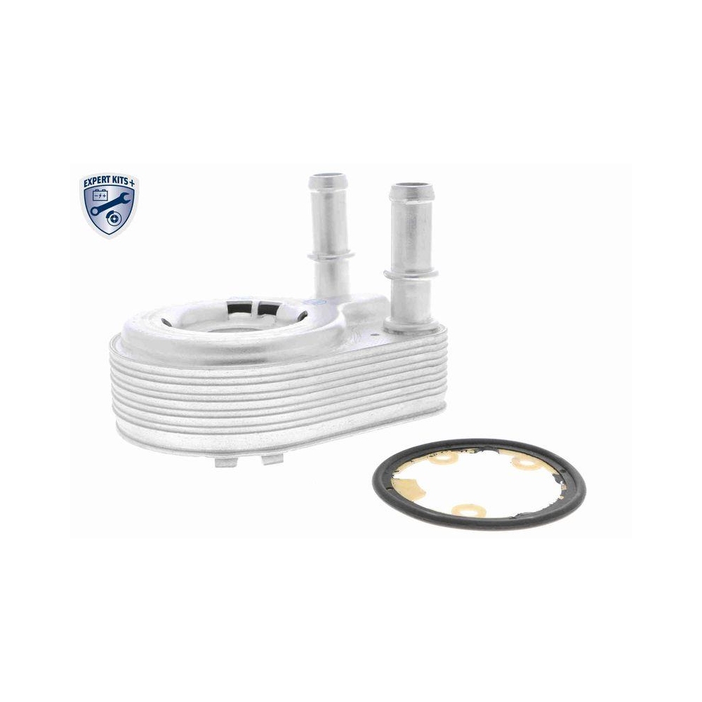 &Ouml;lk&uuml;hler, Motor&ouml;l VEMO V24-60-0021 EXPERT KITS + f&uuml;r FIAT