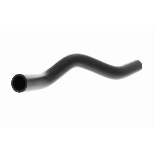 ACKOJA A26-1602 K&uuml;hlerschlauch Original ACKOJA Qualit&auml;t f&uuml;r HONDA, unten
