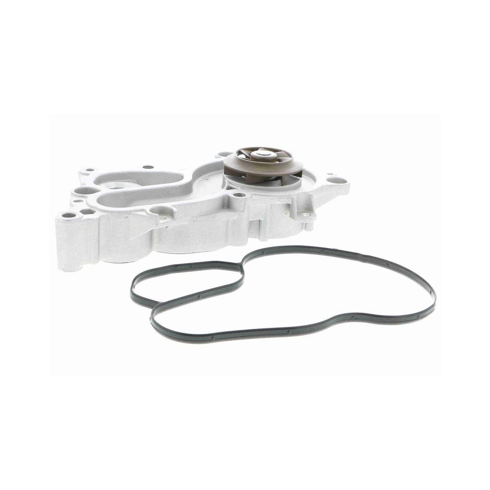 Wasserpumpe, Motork&uuml;hlung VAICO V10-50088 Original VAICO Qualit&auml;t f&uuml;r AUDI SEAT