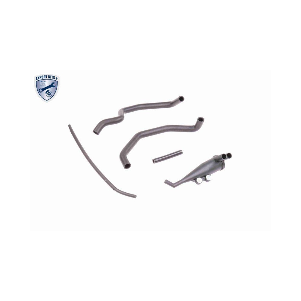 Reparatursatz, Kurbelgeh&auml;useentl&uuml;ftung VAICO V20-0004 EXPERT KITS + f&uuml;r BMW