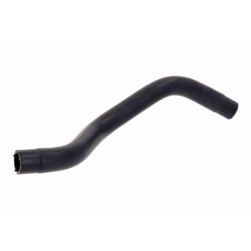ACKOJA A26-1607 K&uuml;hlerschlauch Original ACKOJA Qualit&auml;t f&uuml;r HONDA, unten