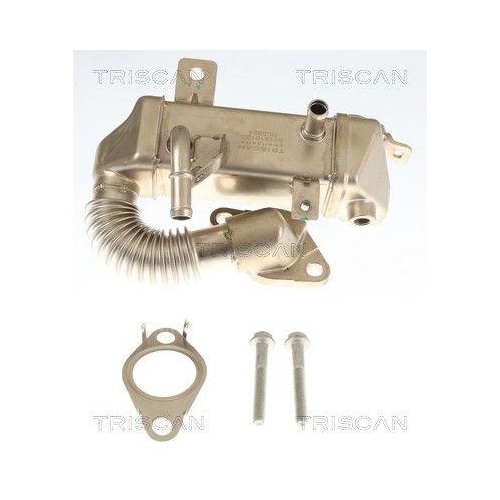 TRISCAN 8813 10120 K&uuml;hler, Abgasr&uuml;ckf&uuml;hrung f&uuml;r CITRO&Euml;N NISSAN PEUGEOT RENAULT