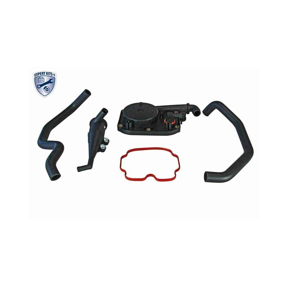 Reparatursatz, Kurbelgeh&auml;useentl&uuml;ftung VAICO V20-0006 EXPERT KITS + f&uuml;r BMW