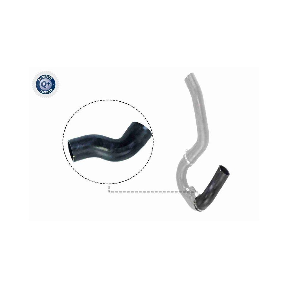 Ladeluftschlauch VAICO V24-0711 Q+, Erstausr&uuml;sterqualit&auml;t f&uuml;r FIAT