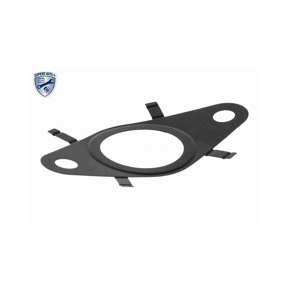 Dichtung, AGR-Ventil VEMO V24-63-0038 EXPERT KITS + für FIAT FORD