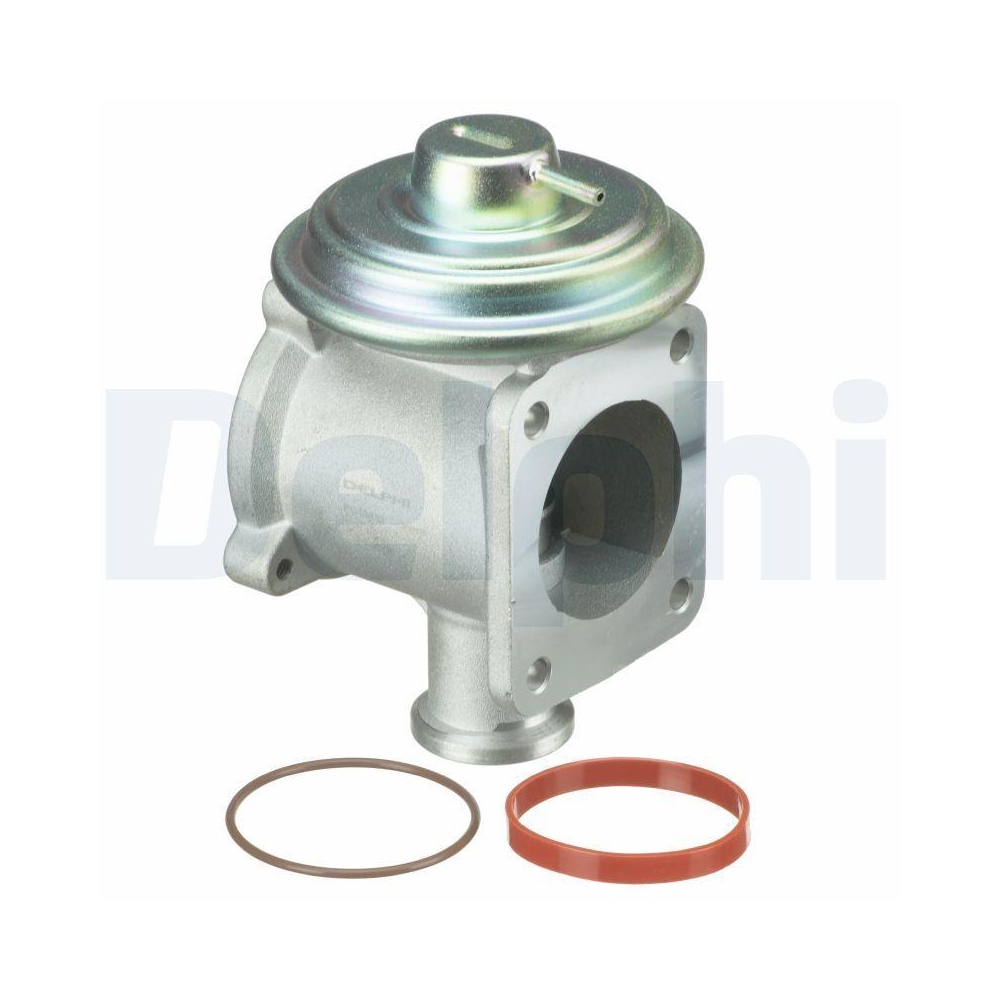 DELPHI EG10433-12B1 AGR-Ventil f&uuml;r BMW