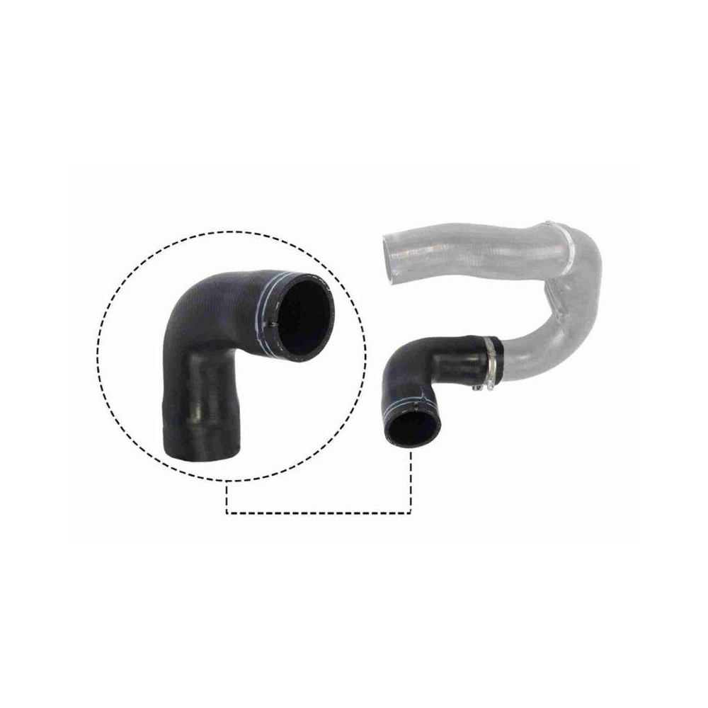 Ladeluftschlauch VAICO V24-0716 Q+, Erstausrüsterqualität für FIAT