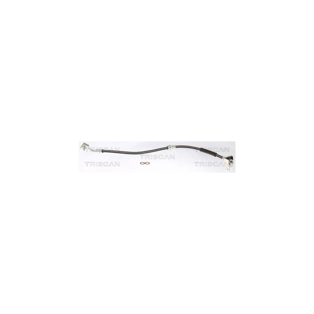 Bremsschlauch TRISCAN 8150 81003 f&uuml;r TESLA, Vorderachse links, innen