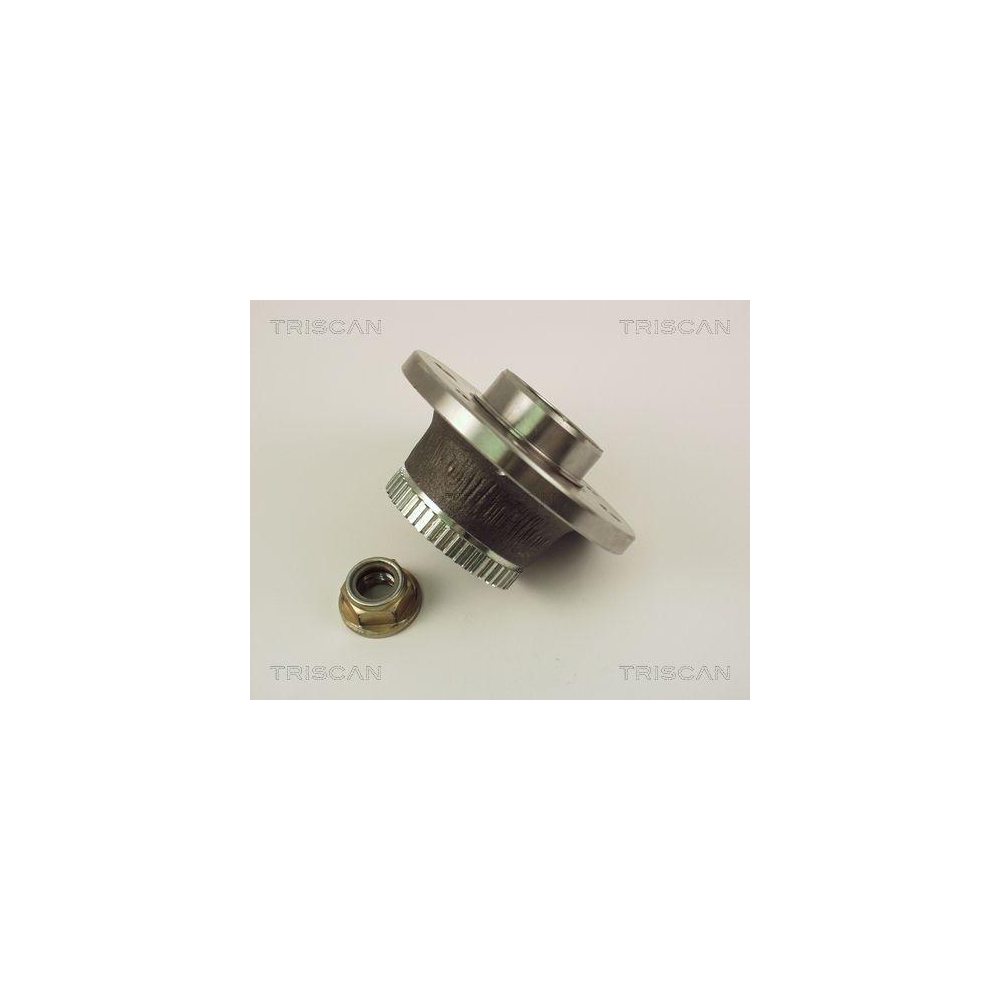 Radlagersatz TRISCAN 8530 25219 f&uuml;r RENAULT, Hinterachse