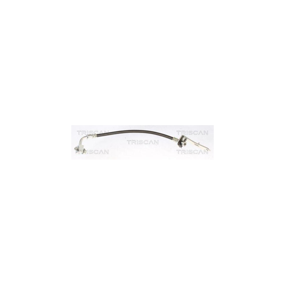 Bremsschlauch TRISCAN 8150 81203 f&uuml;r TESLA, Hinterachse rechts