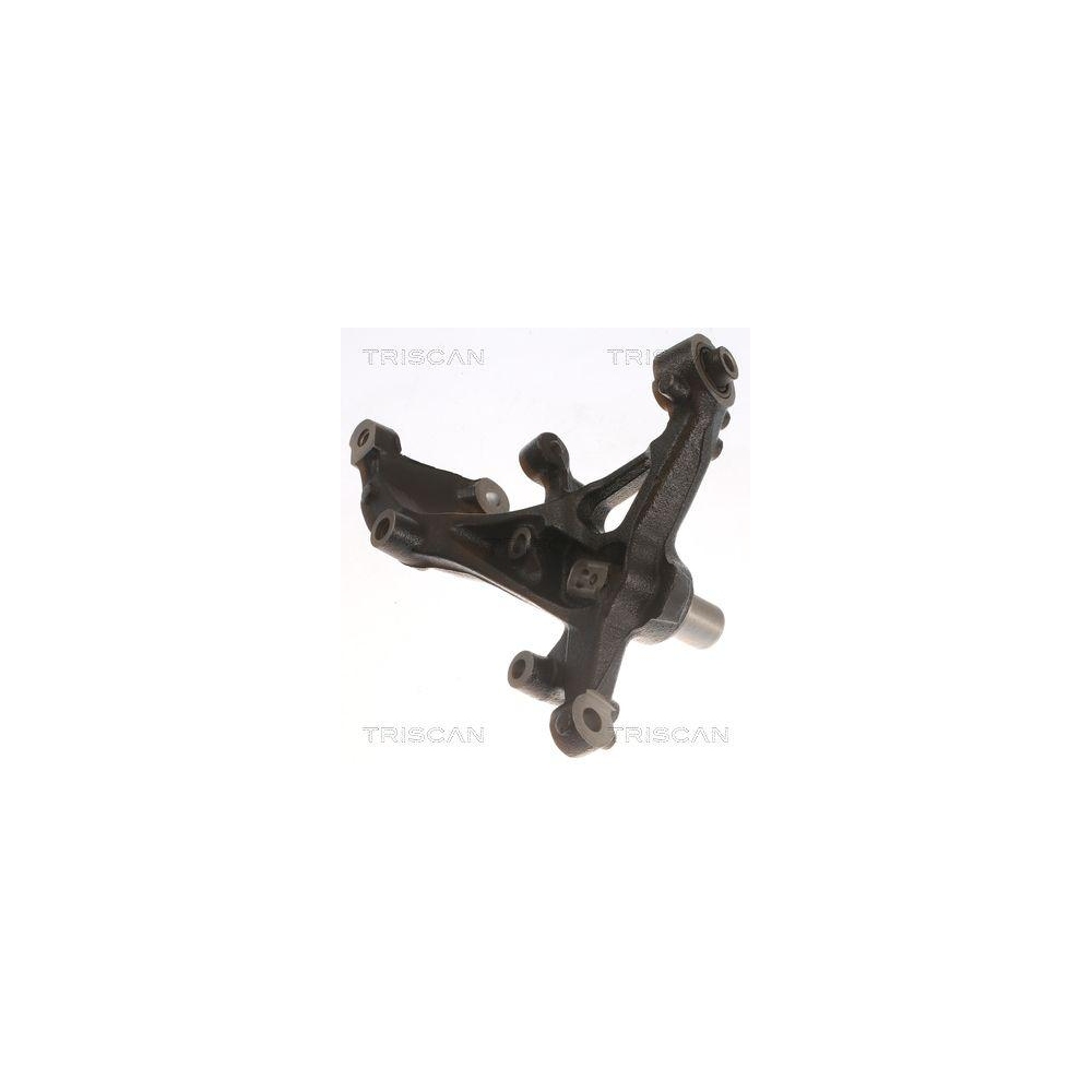 Achsschenkel, Radaufh&auml;ngung TRISCAN 8500 29723 f&uuml;r AUDI VW, Hinterachse links