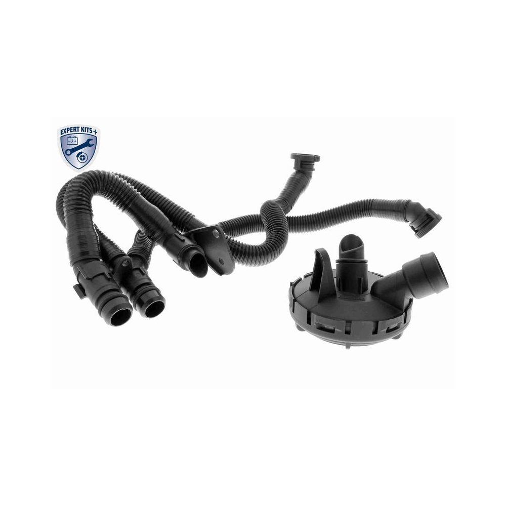 Reparatursatz, Kurbelgeh&auml;useentl&uuml;ftung VAICO V10-6492 EXPERT KITS + f&uuml;r SEAT VW