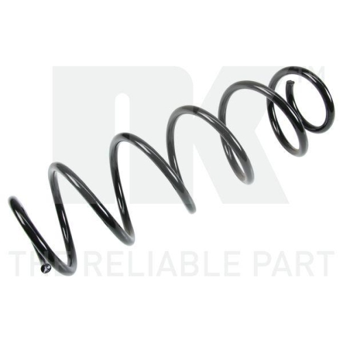 NK 533994 Fahrwerksfeder f&uuml;r RENAULT, Hinterachse