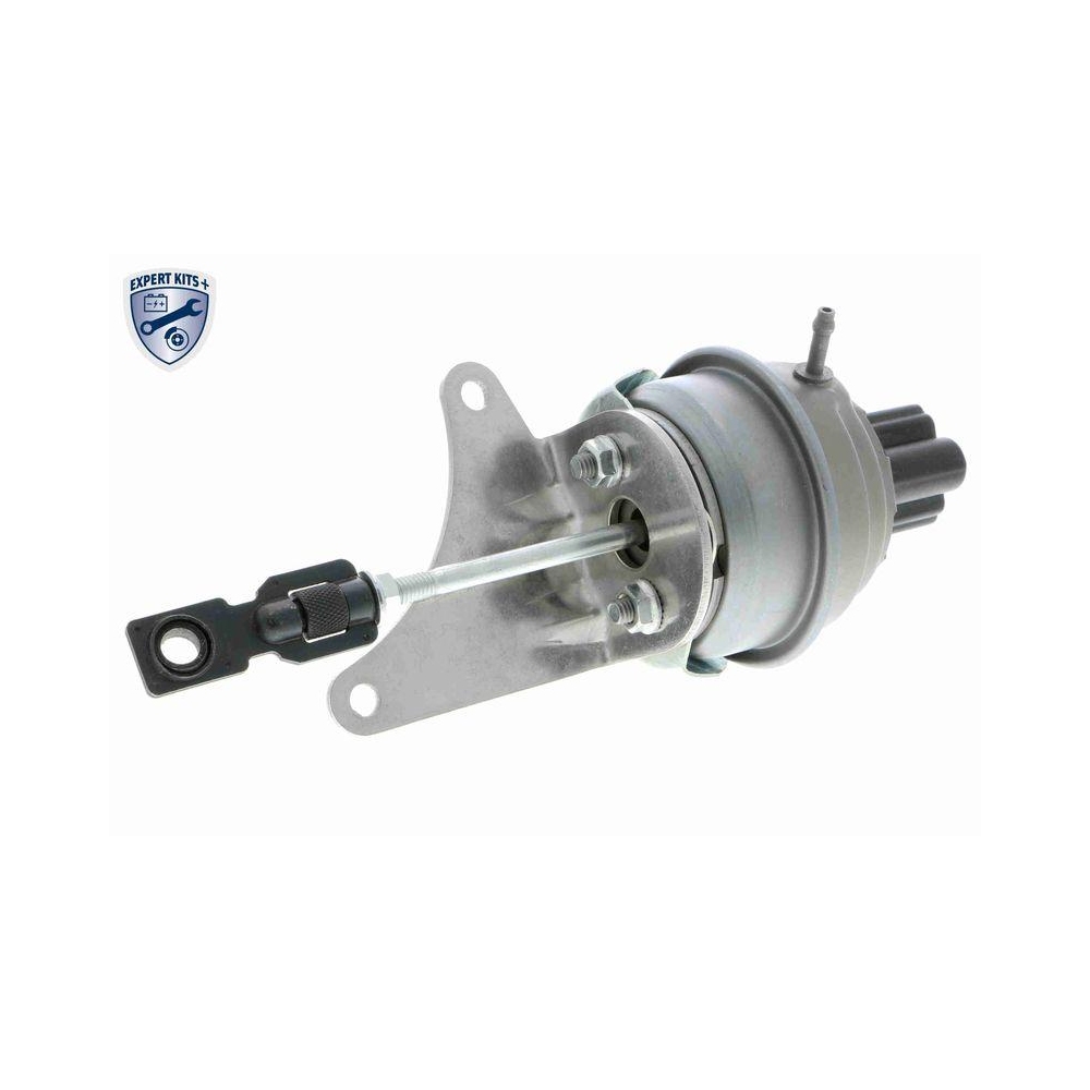 Steuerdose, Lader VEMO V15-40-0002 EXPERT KITS + f&uuml;r AUDI SEAT SKODA VW VAG