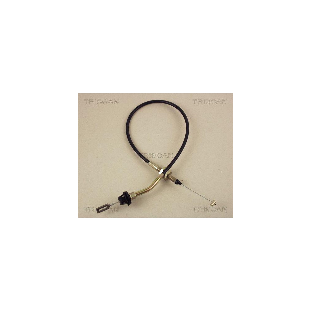 Gaszug TRISCAN 8140 11301 f&uuml;r BMW