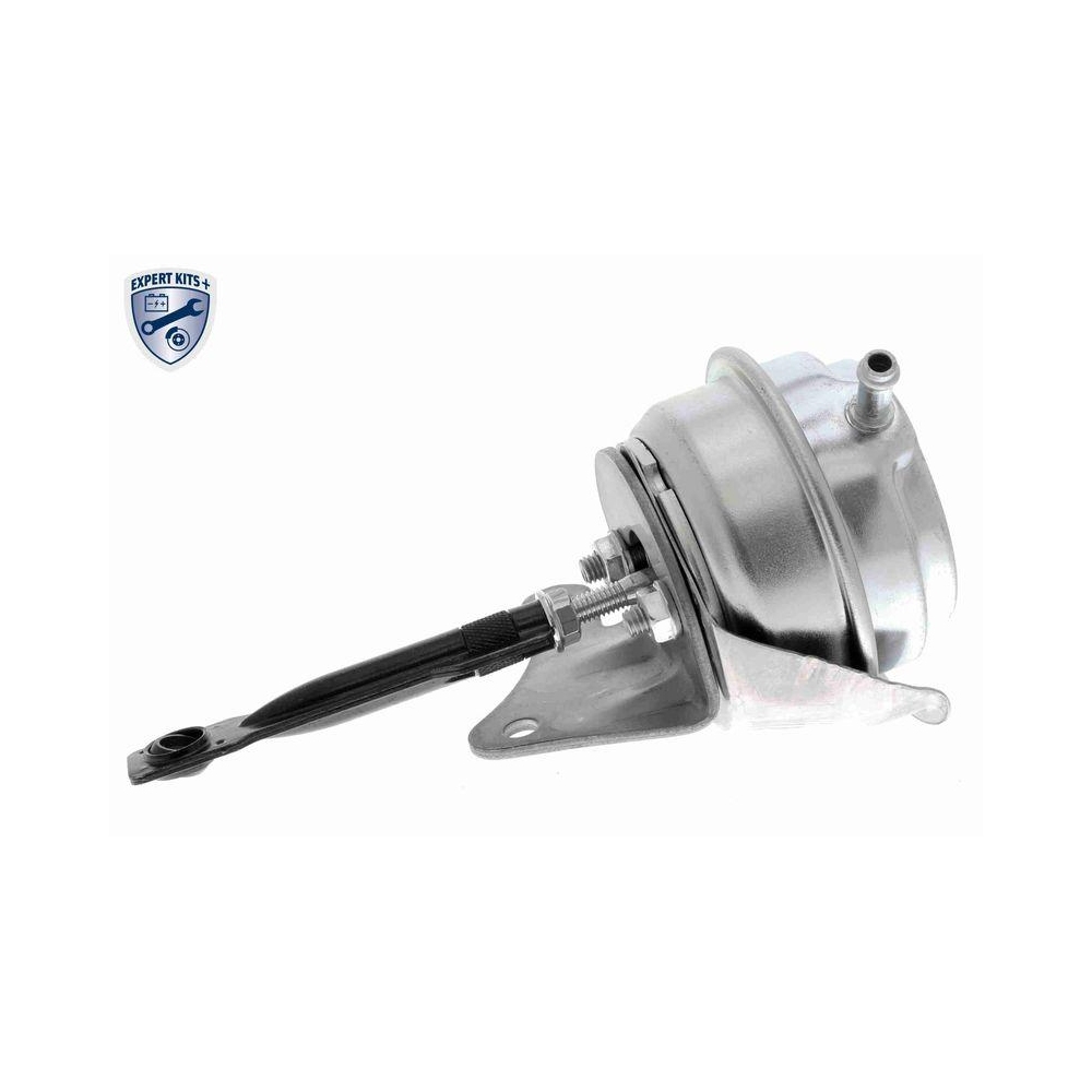 Steuerdose, Lader VEMO V15-40-0008 EXPERT KITS + f&uuml;r SEAT SKODA VW VAG