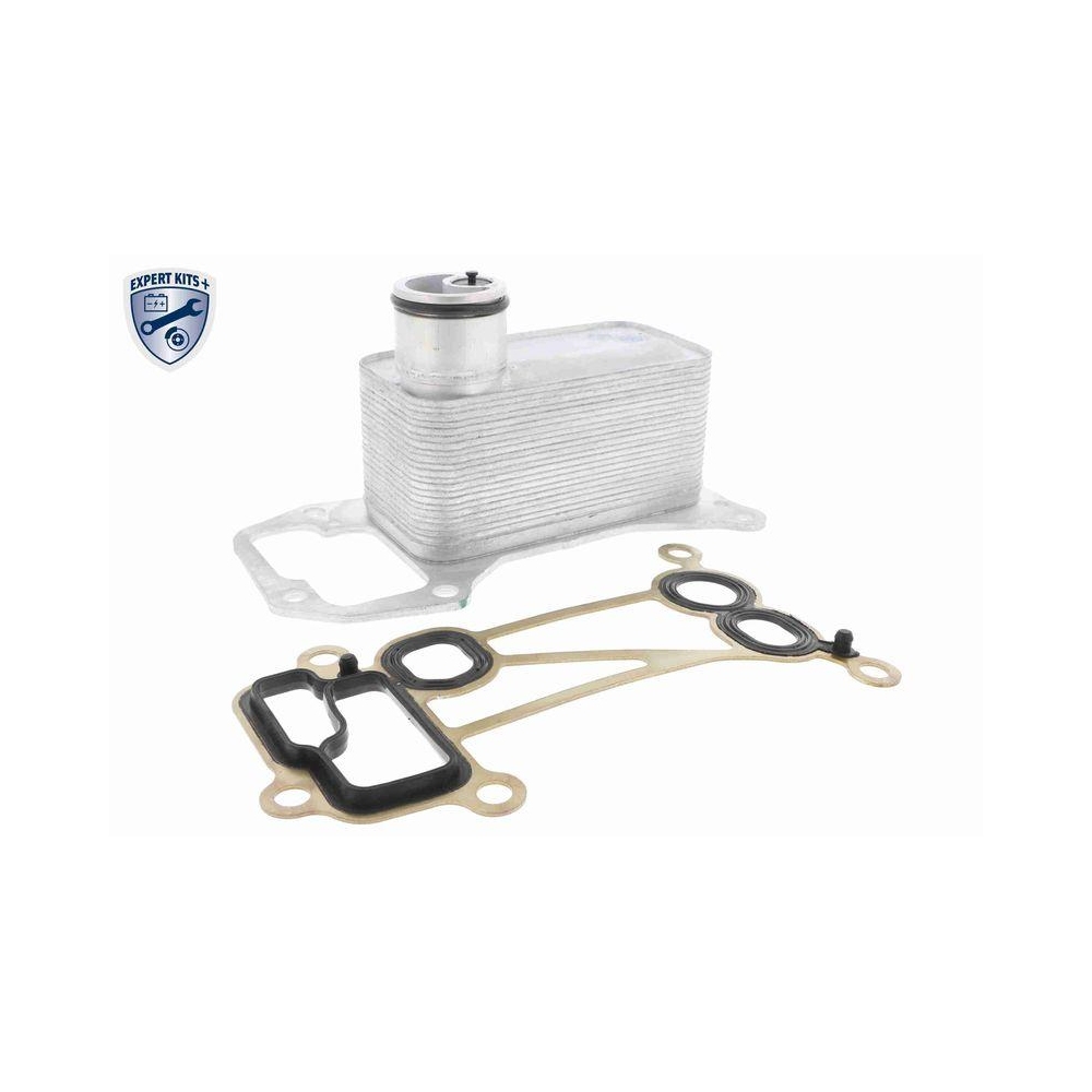 Ölkühler, Motoröl VEMO V20-60-0056 EXPERT KITS + für BMW