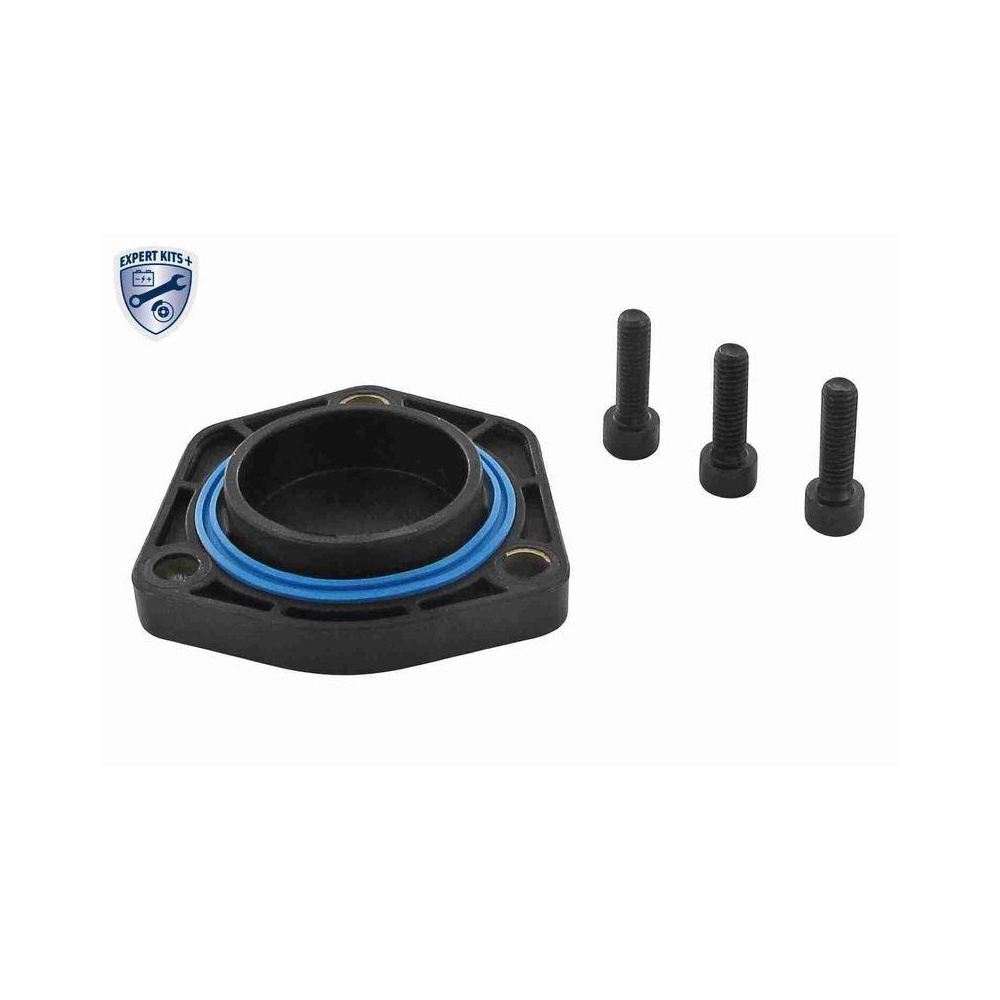 Dichtung, &Ouml;lwanne VAICO V10-2638 EXPERT KITS + f&uuml;r AUDI SEAT SKODA VW VAG
