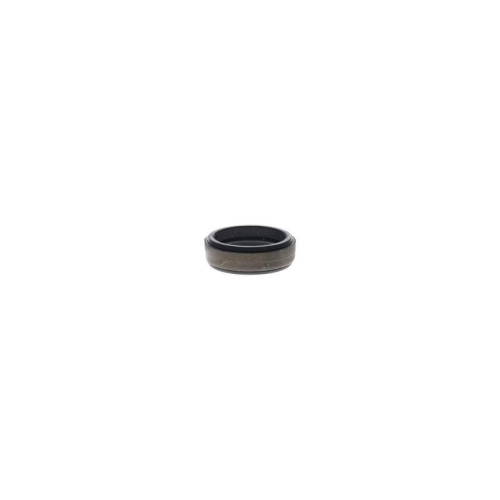 Dichtring, D&uuml;senhalter BOSCH 2 430 223 003 f&uuml;r OPEL SCANIA VAUXHALL CHEVROLET