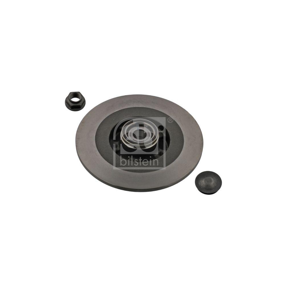 Bremsscheibe FEBI BILSTEIN 38303 f&uuml;r RENAULT, Hinterachse