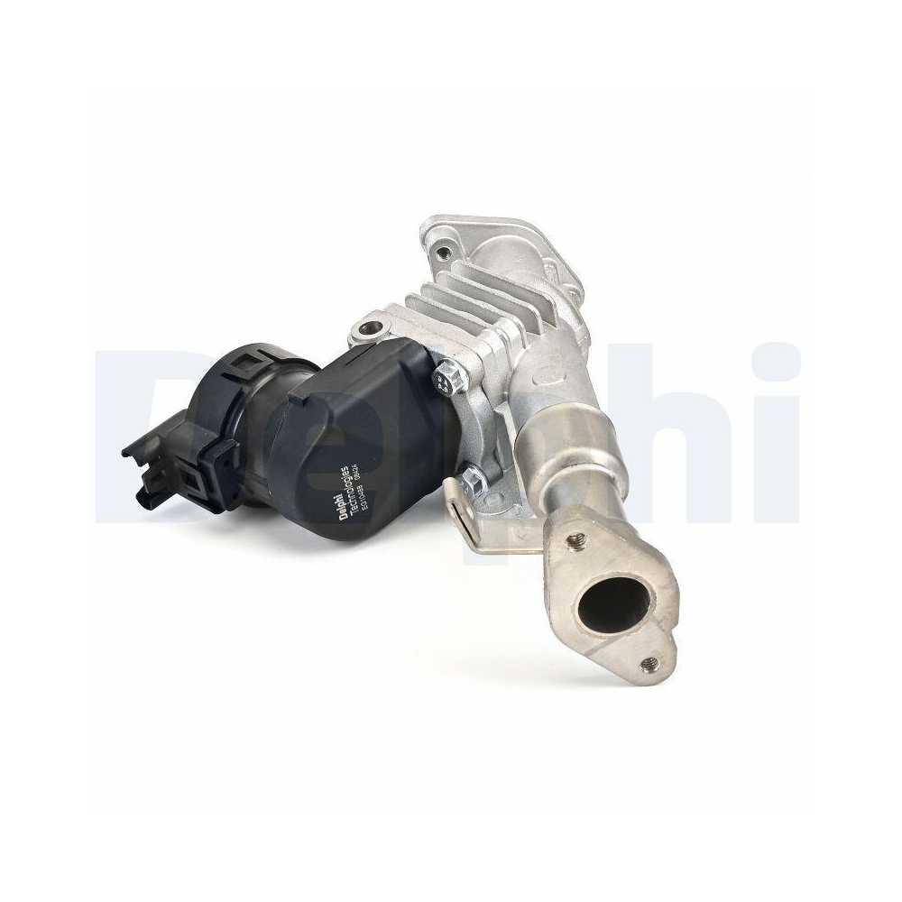 DELPHI EG10488-12B1 AGR-Ventil f&uuml;r BMW