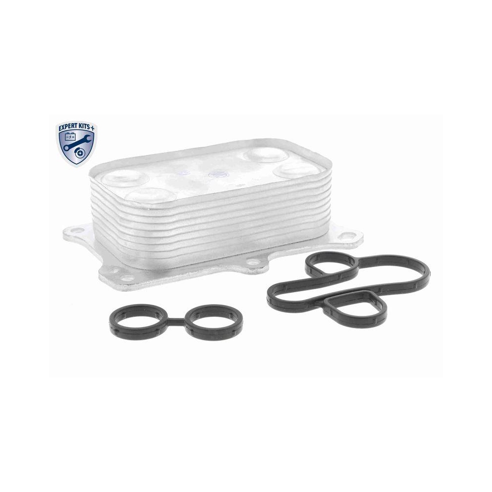 &Ouml;lk&uuml;hler, Motor&ouml;l VEMO V24-60-0014 EXPERT KITS + f&uuml;r FIAT