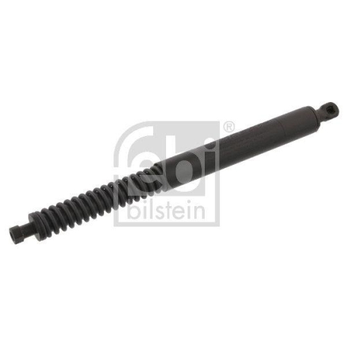 FEBI BILSTEIN Gasfeder, Koffer-/Laderaum 34419 f&uuml;r PEUGEOT, beidseitig