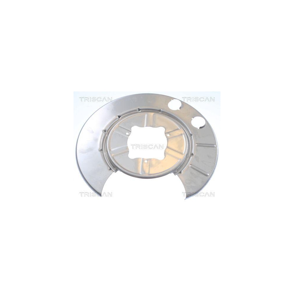 Spritzblech, Bremsscheibe TRISCAN 8125 81201 f&uuml;r TESLA, Hinterachse rechts