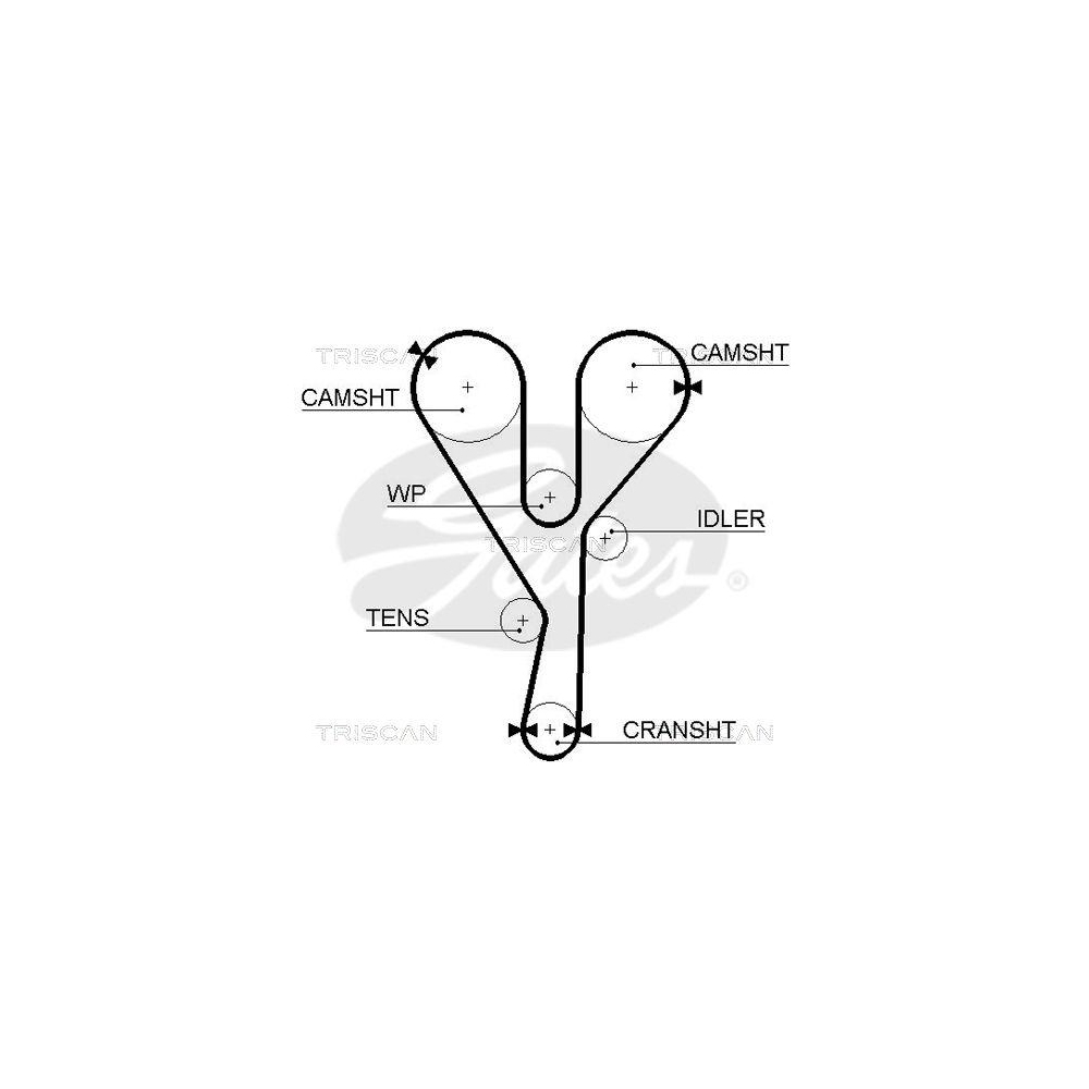 Zahnriemen TRISCAN 8645 5377xs f&uuml;r DANA