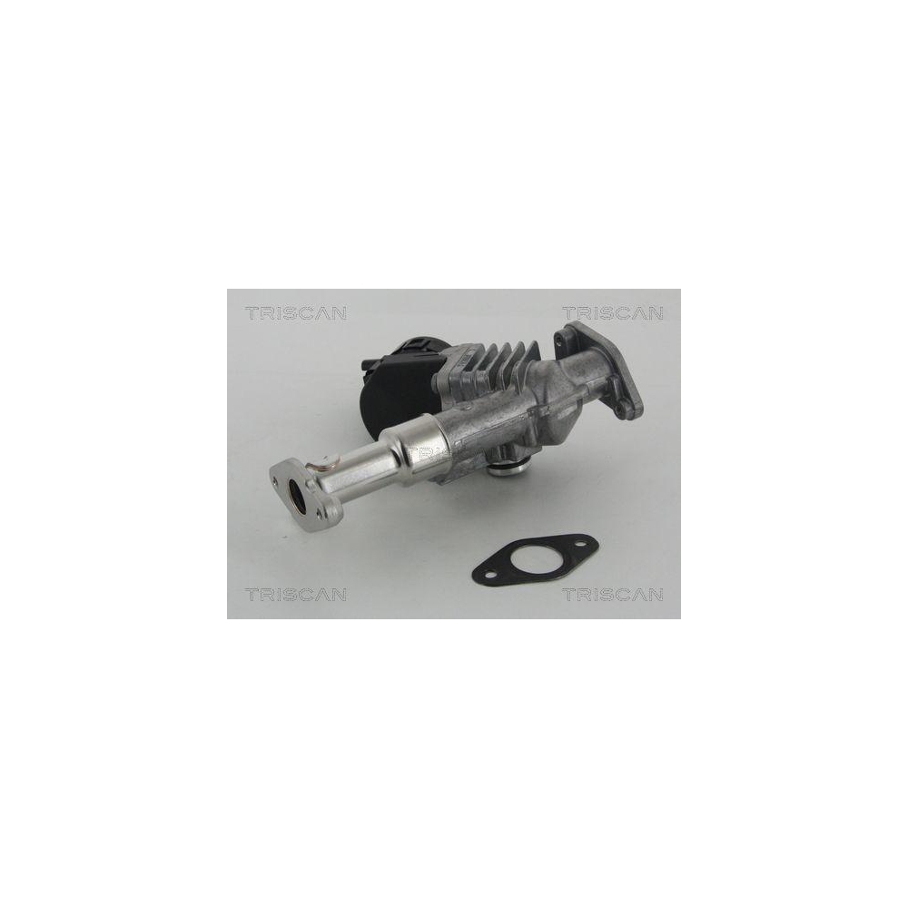 AGR-Ventil TRISCAN 8813 11006 f&uuml;r BMW