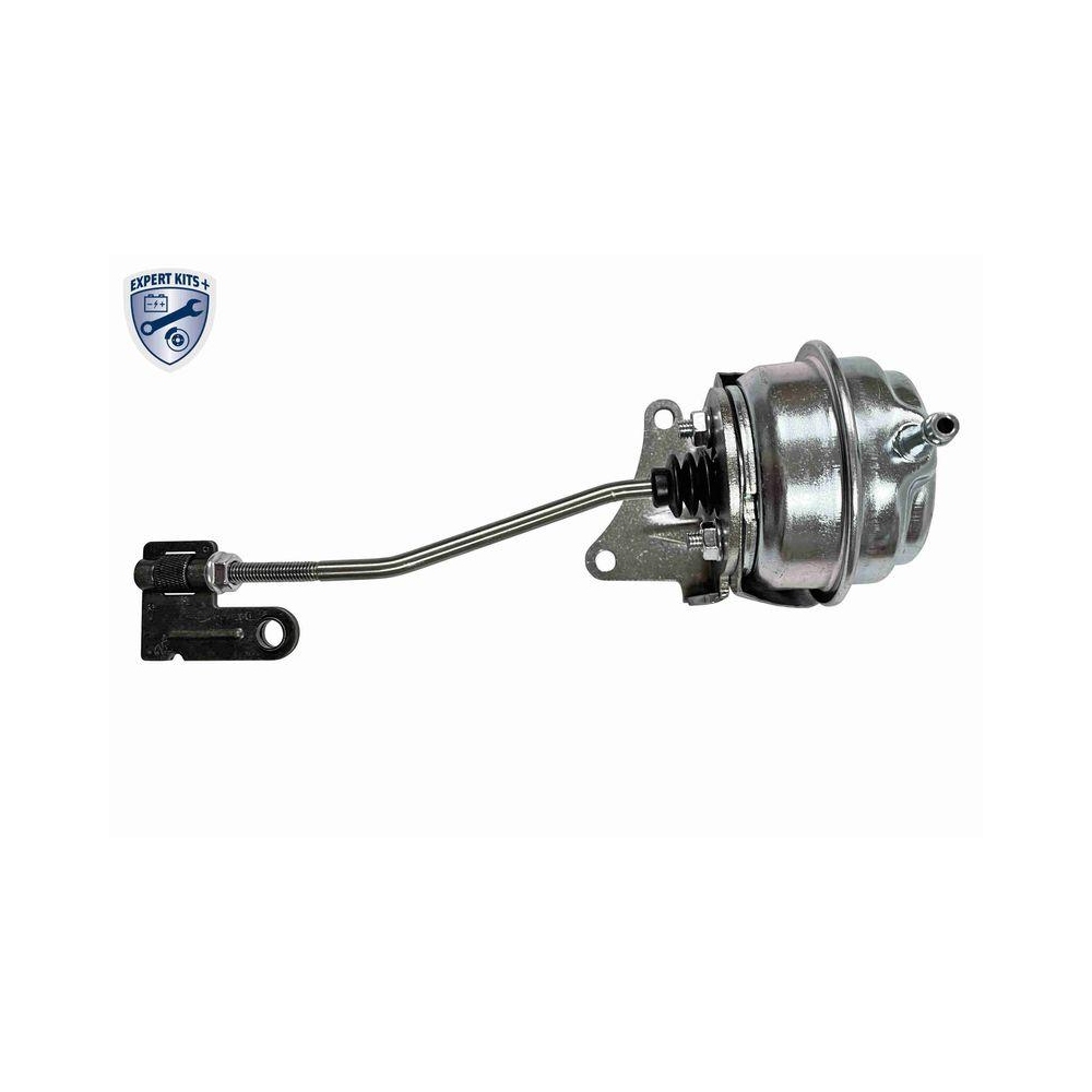 Steuerdose, Lader VEMO V40-40-0006 EXPERT KITS + für OPEL