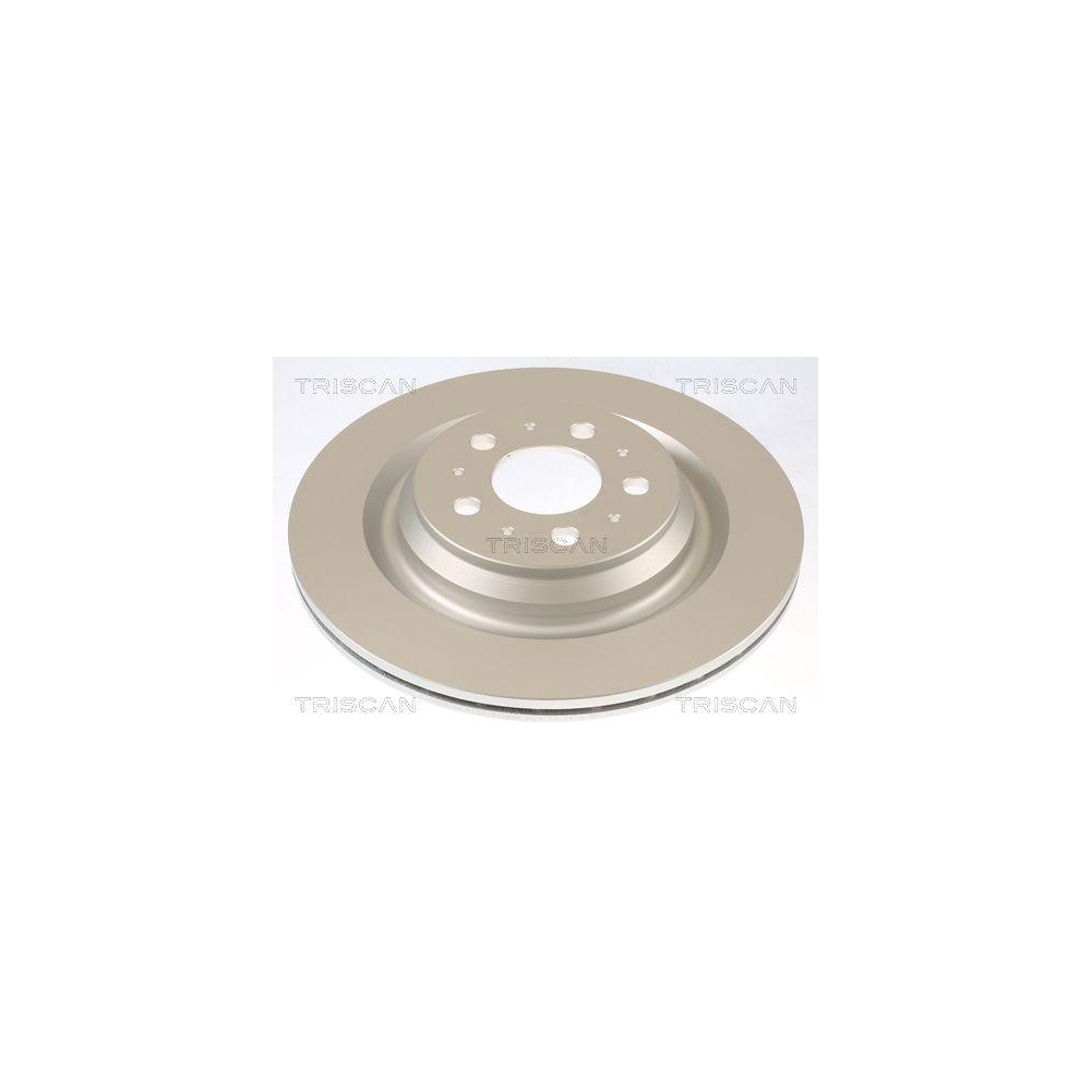TRISCAN 8120 81004C 2 St&uuml;ck Bremsscheiben f&uuml;r TESLA, Hinterachse