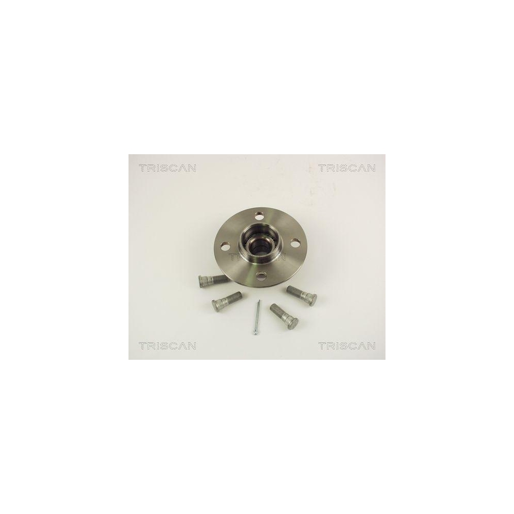 Radlagersatz TRISCAN 8530 14213 f&uuml;r, Hinterachse