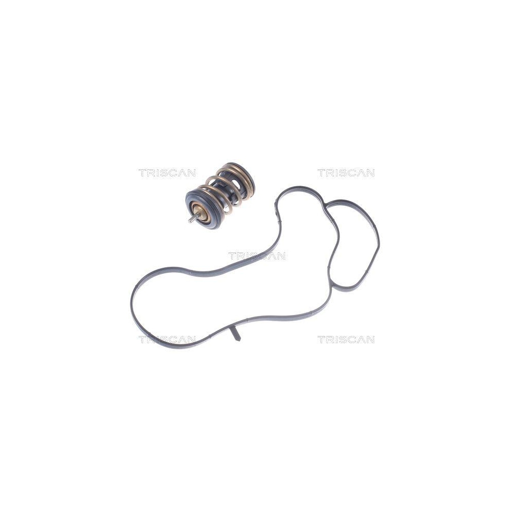 Thermostat, K&uuml;hlmittel TRISCAN 8620 49897 f&uuml;r AUDI SEAT SKODA VW CUPRA, au&szlig;en