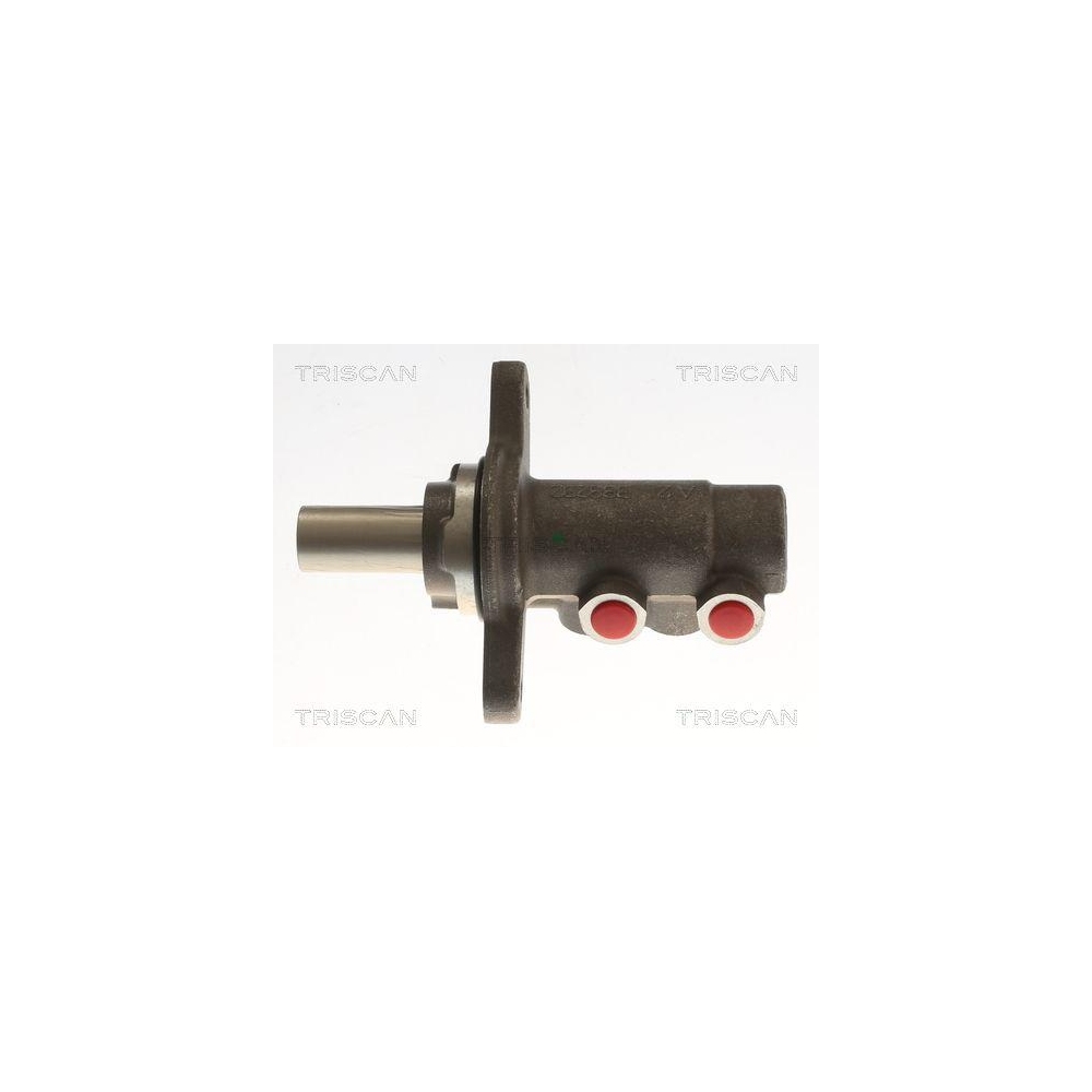 Hauptbremszylinder TRISCAN 8130 28153 für CITROËN PEUGEOT DS