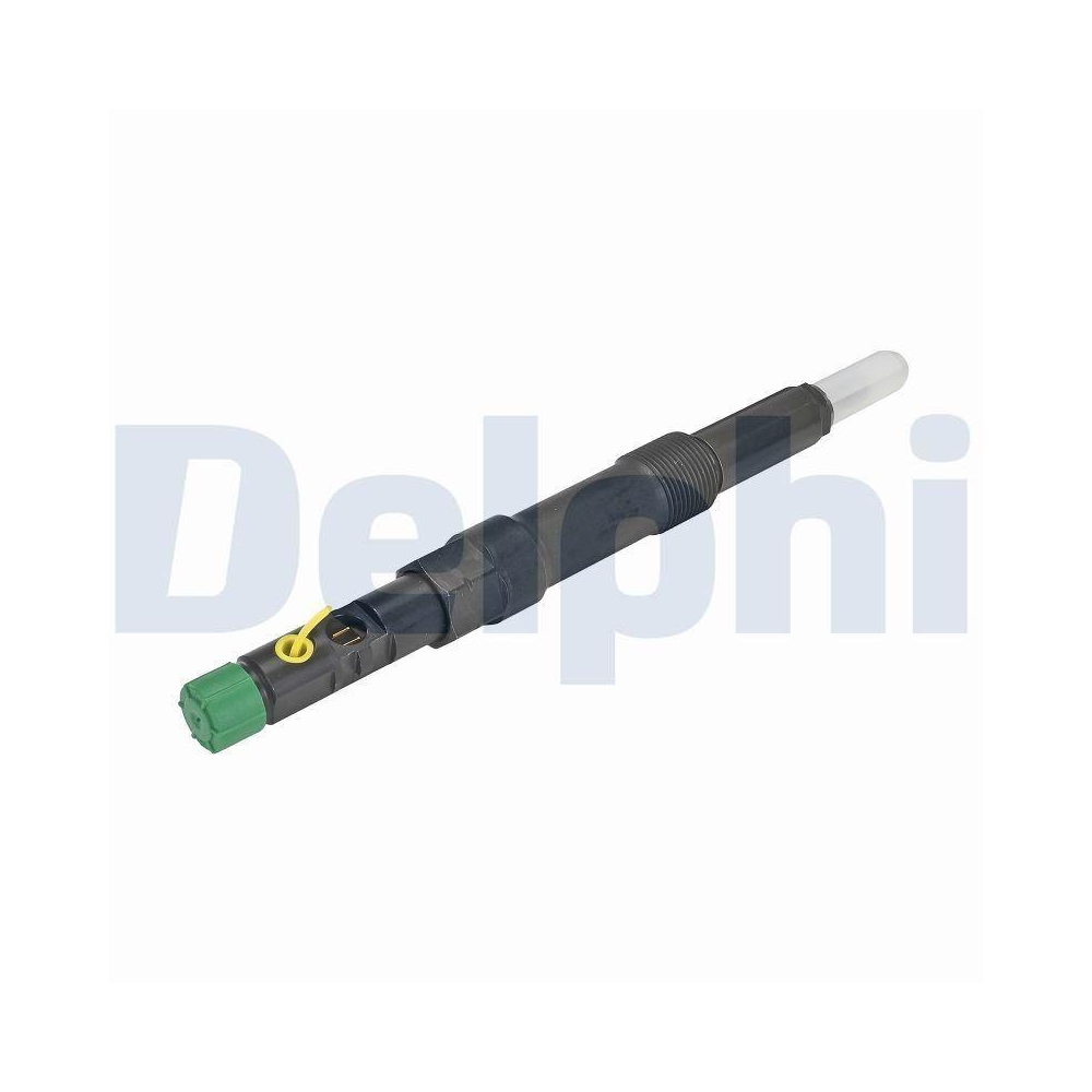 DELPHI R00701D-12B1 Einspritzventil f&uuml;r FORD JAGUAR CASE IH