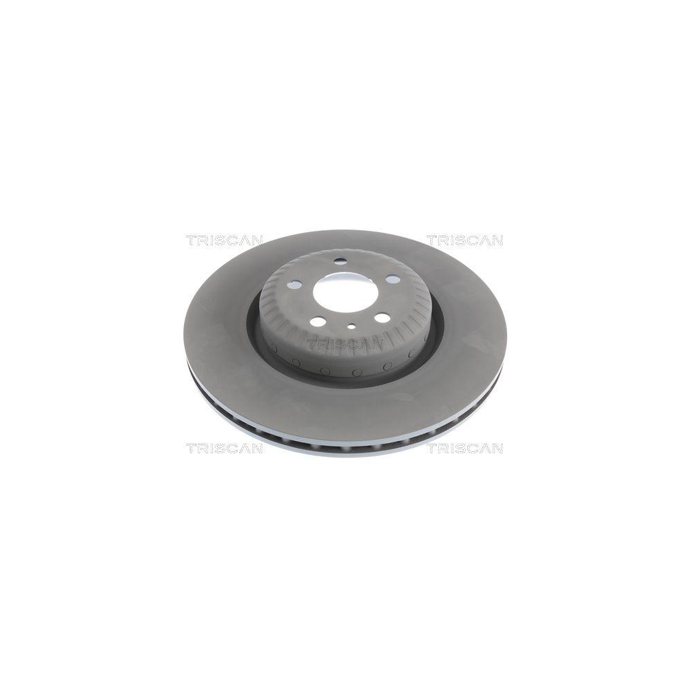 TRISCAN 8120 81005C 2 St&uuml;ck Bremsscheiben f&uuml;r TESLA, Vorderachse