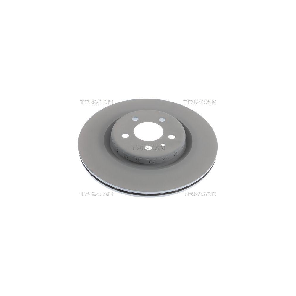TRISCAN 8120 81006C 2 St&uuml;ck Bremsscheiben f&uuml;r TESLA, Hinterachse
