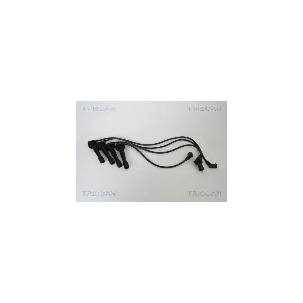 Z&uuml;ndleitungssatz TRISCAN 8860 40002 f&uuml;r