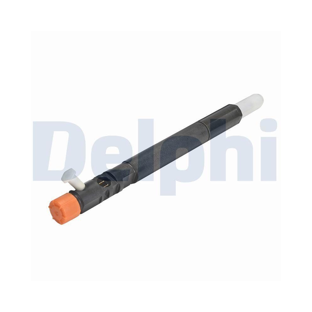 DELPHI R04501D-12B1 Einspritzventil f&uuml;r SSANGYONG