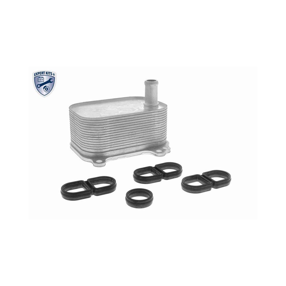 &Ouml;lk&uuml;hler, Motor&ouml;l VEMO V10-60-0066 EXPERT KITS + f&uuml;r AUDI VW