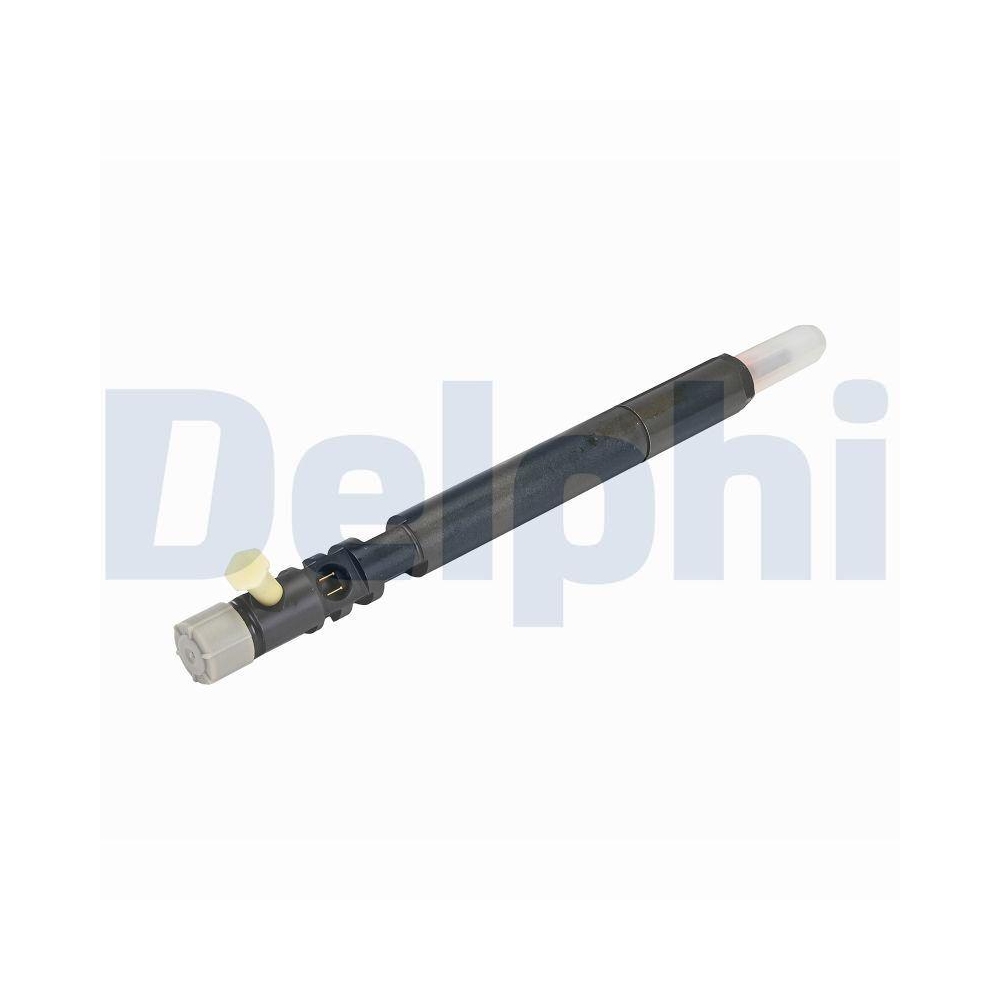 DELPHI R04701D-12B1 Einspritzventil f&uuml;r SSANGYONG