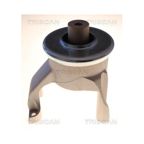 TRISCAN 8505 291005 Lagerung, Motor f&uuml;r VW, hinten, rechts, unten
